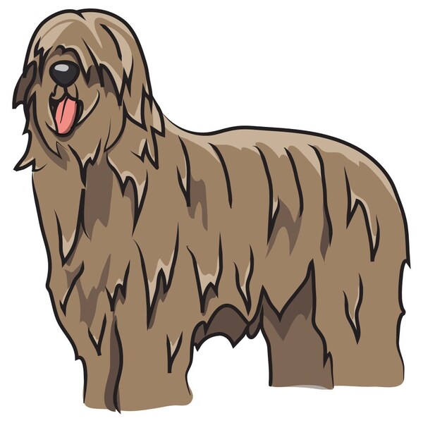 Signmission Briard Dog Decal, Dog Lover Decor Vinyl Sticker D-12-Briard - main